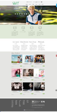 网页设计与软件开发 数字时代的两大支柱