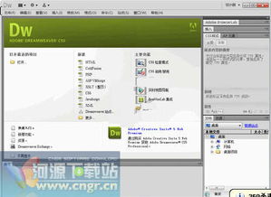 网页制作与软件开发常用工具指南